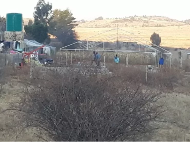 Lesotho polytunnel Picture 1